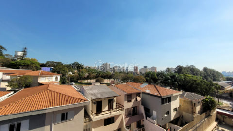 Image 39 - 1040632