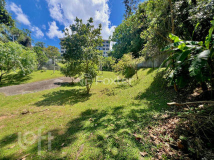 Image 34 - 1040683