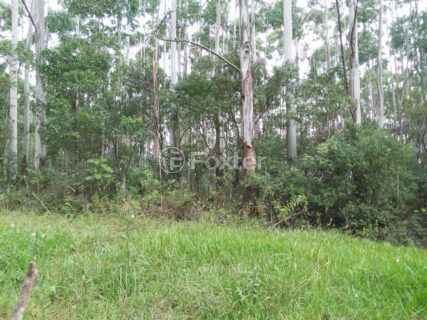 Image 2 - 1040853