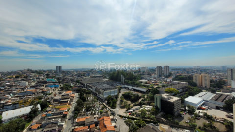 Image 31 - 1040971