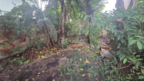 Image 20 - 1040972