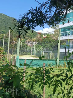 Image 10 - 1041175