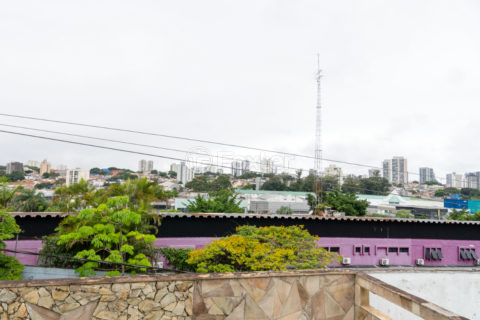 Image 58 - 1041238