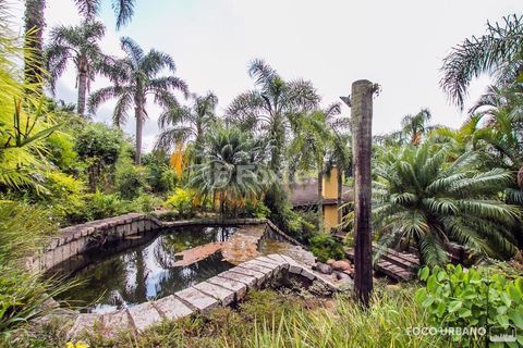 Image 83 - 107556