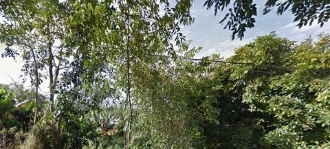 Image 4 - 112291