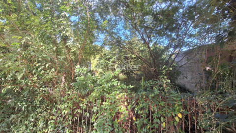 Image 5 - 114684