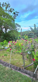 Image 60 - 116508