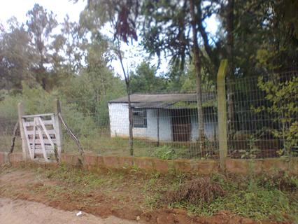 Image 7 - 118815