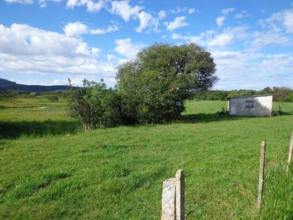 Image 4 - 118971