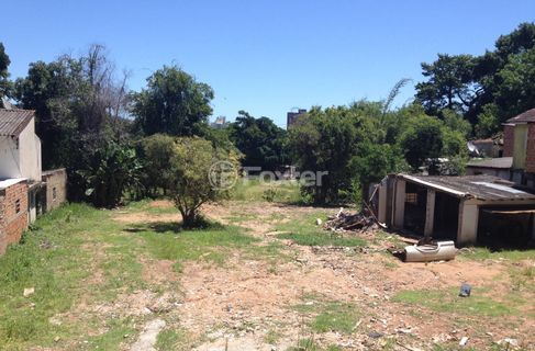 Image 6 - 119561