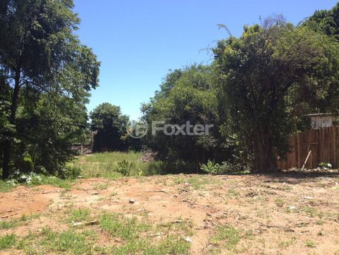 Image 1 - 119561