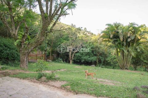 Image 11 - 119991