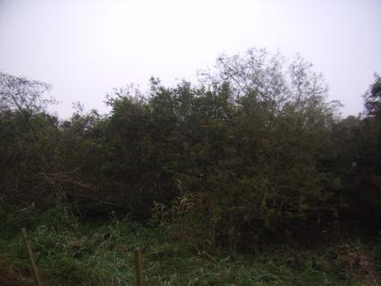 Image 5 - 125213