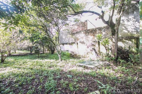 Image 38 - 125338