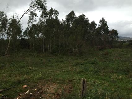 Image 6 - 127584