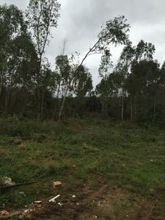 Image 5 - 127584