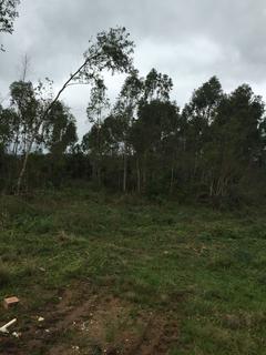 Image 4 - 127584
