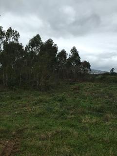 Image 3 - 127584
