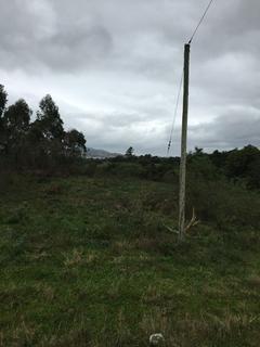 Image 2 - 127584