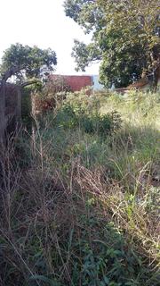 Image 4 - 127942