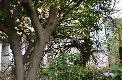 Image 5 - 128992