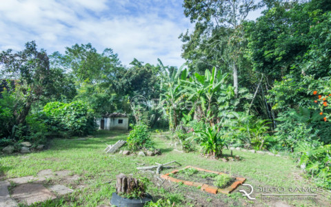 Image 27 - 130023