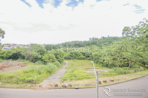 Image 14 - 134986