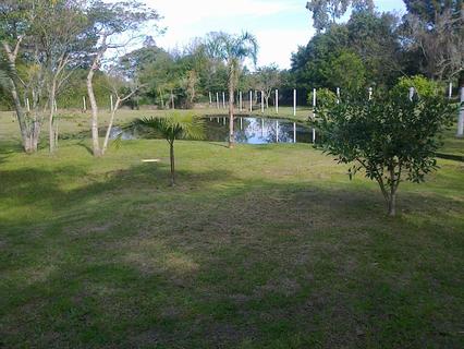 Image 5 - 135546