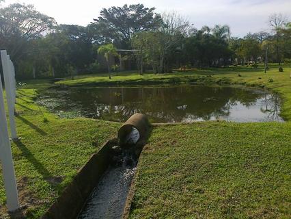 Image 8 - 135546