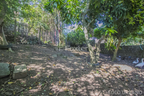 Image 13 - 137462