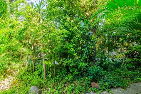 Image 8 - 141156