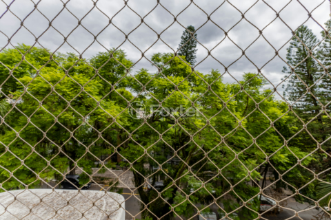 Image 15 - 145884