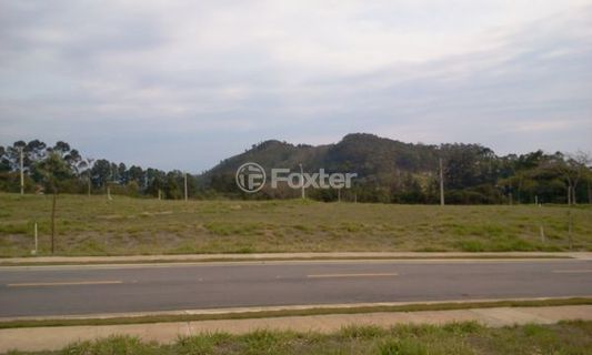 Image 7 - 14953