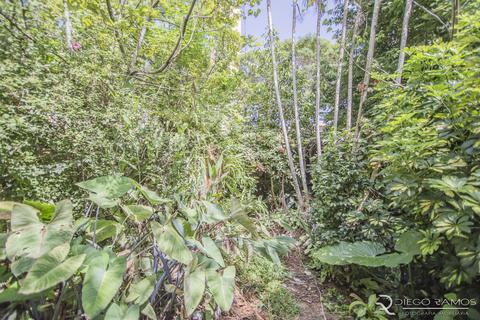 Image 6 - 153035