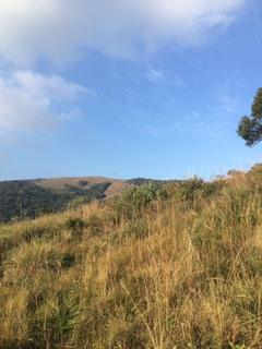 Image 3 - 153901