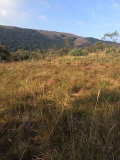 Image 5 - 153901