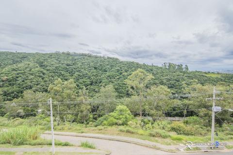Image 39 - 153926
