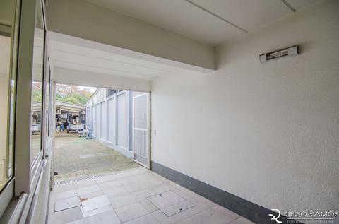 Image 13 - 154846