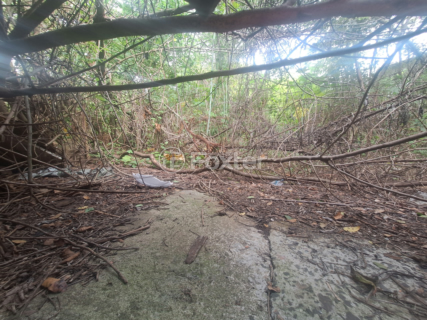Image 8 - 155052