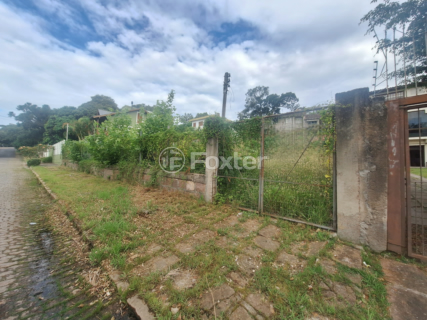 Image 4 - 155052