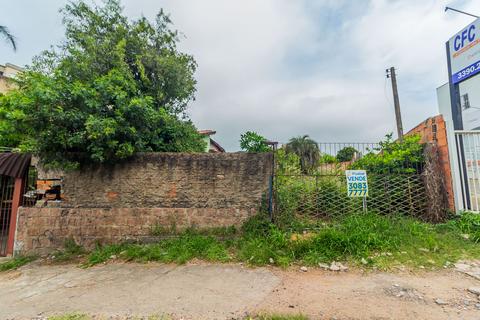 Image 4 - 156569