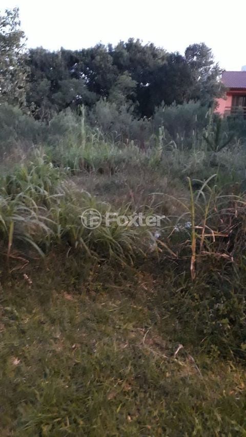 Image 9 - 162603