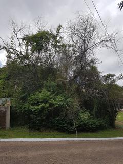 Image 3 - 166989
