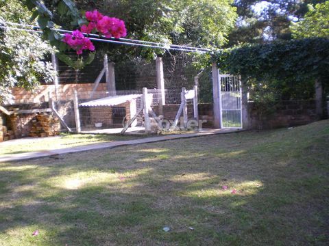 Image 5 - 167945