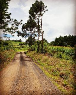 Image 33 - 169724