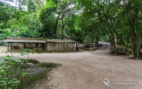 Image 9 - 172107