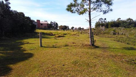 Image 12 - 176859