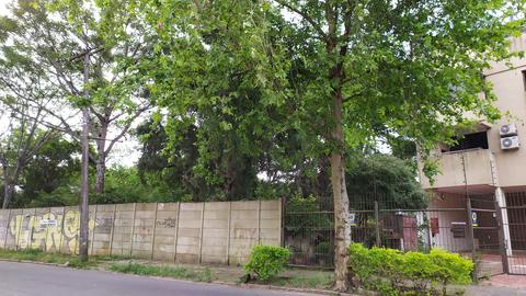 Image 6 - 177146