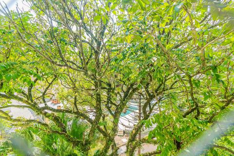 Image 10 - 177478