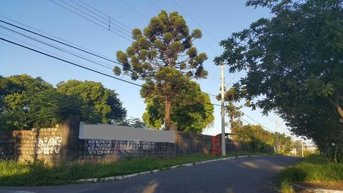Image 4 - 179434